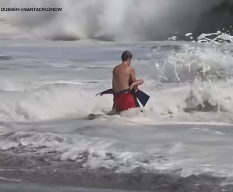 Ocean rescue